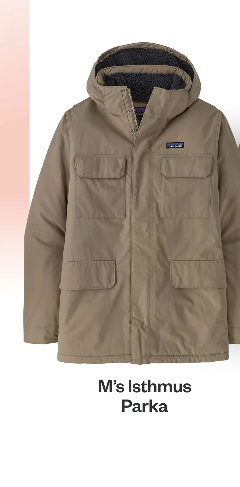 Men's Isthmus Parka