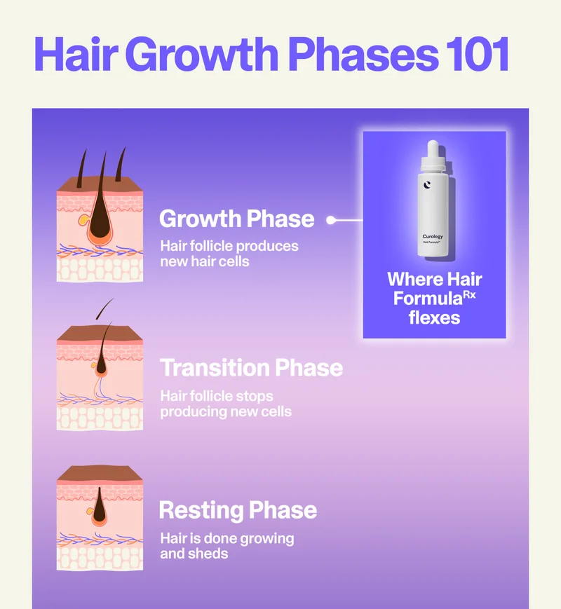 Hair growth phases 101 infographic