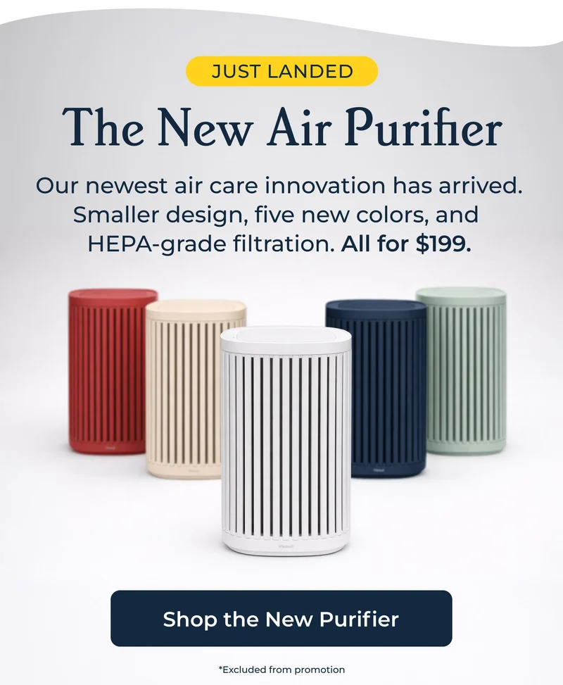 JUST LANDED The New Air Purifier