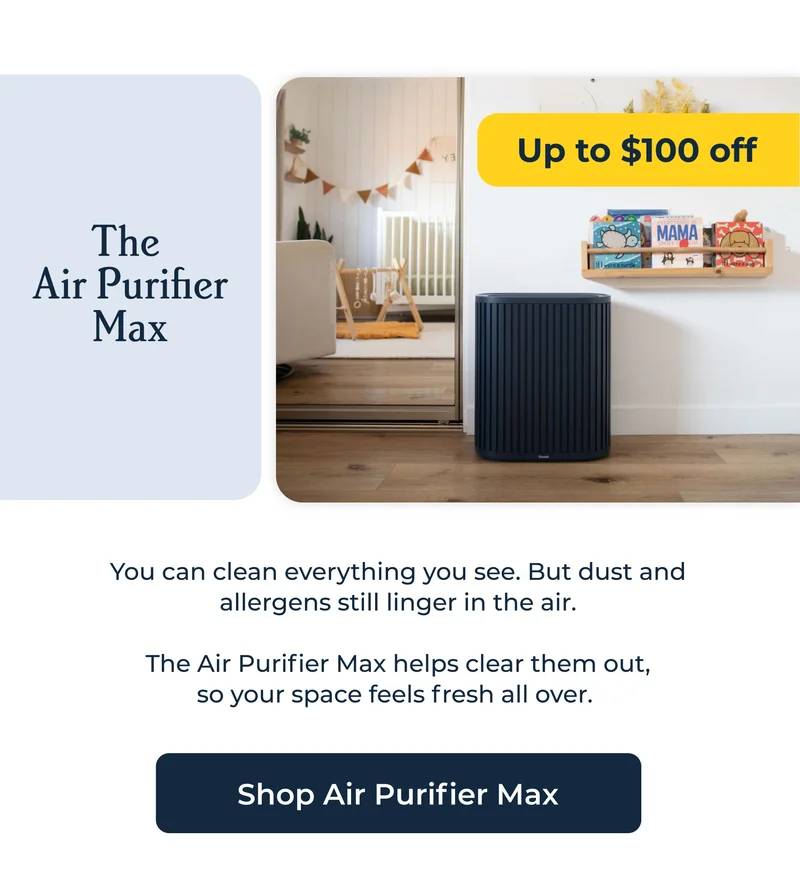 The  Air Purifier Max