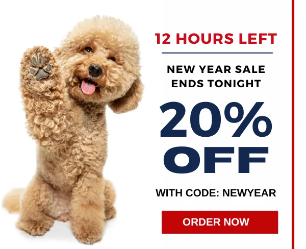 New Year Sale