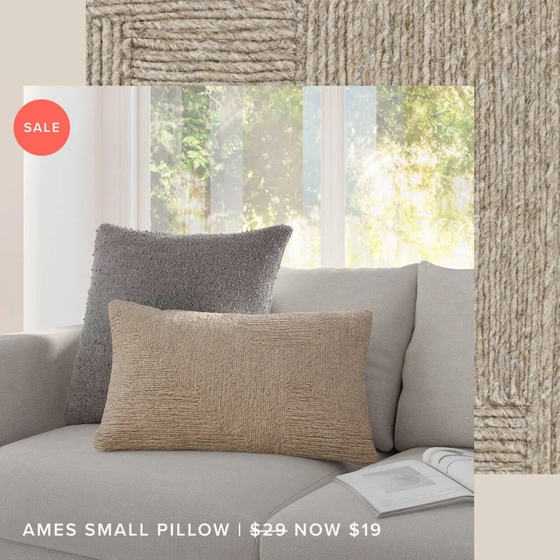 Ames small pillow.