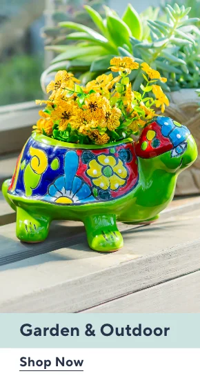 susan graver sale