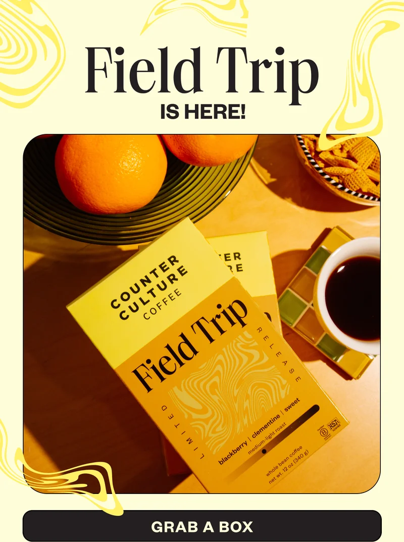 Field Trip is here! Grab a Box