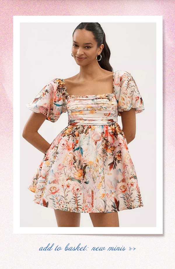 add to basket, new minis
