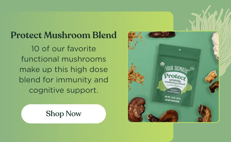 Protect Mushroom Blend | 10 of our favorite functional mushrooms make up this high dose  blend for immunity and cognitive support. | Shop now
