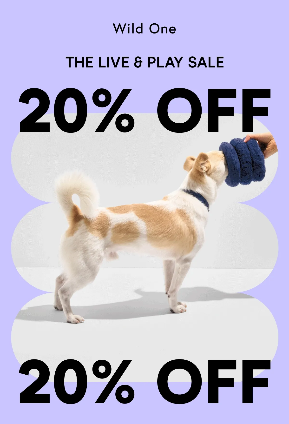 THE LIVE & PLAY SALE