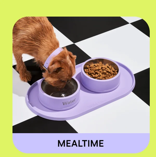 Shop Mealtime Kit