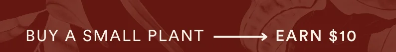 buy a small plant, earn $10