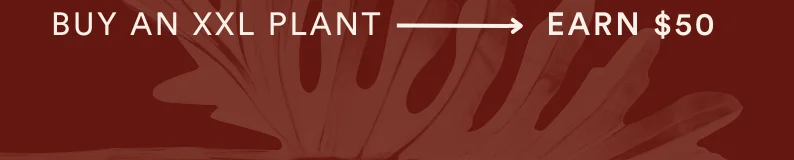 buy an xxl plant, earn $50