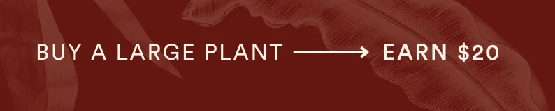 buy a large plant, earn $20