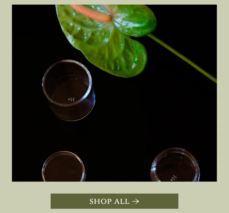 Shop All