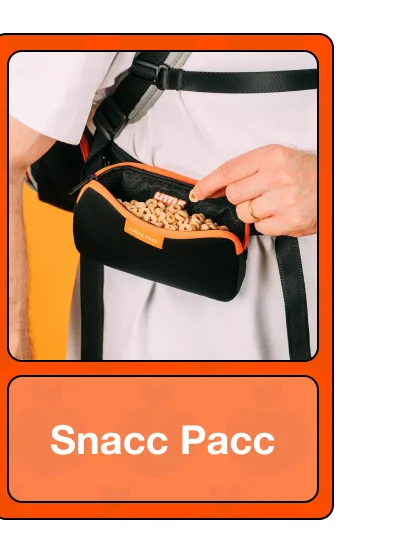 Snacc Pacc