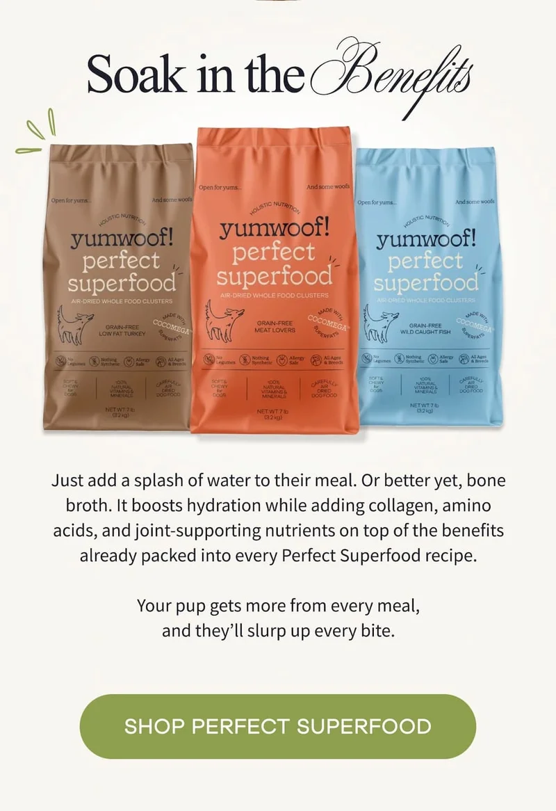SOAK IN THE BENEFITS | Just add a splash of water to their meal. Or better yet, bone broth. It boosts hydration while adding collagen, amino acids, and joint-supporting nutrients on top of the benefits already packed into every Perfect Superfood recipe.  Your pup gets more from every meal, and they’ll slurp up every bite. | SHOP PERFECT SUPERFOOD
