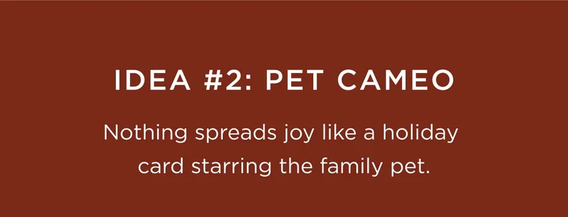 Shop Holiday Cards