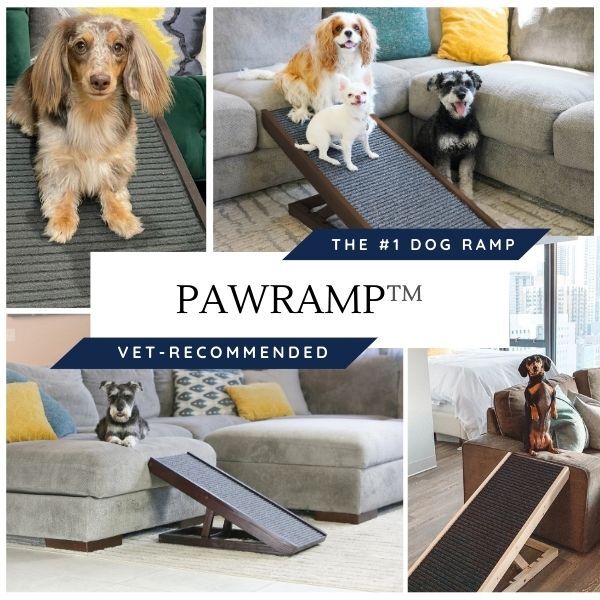 #1 Vet Recommended Dog Ramp