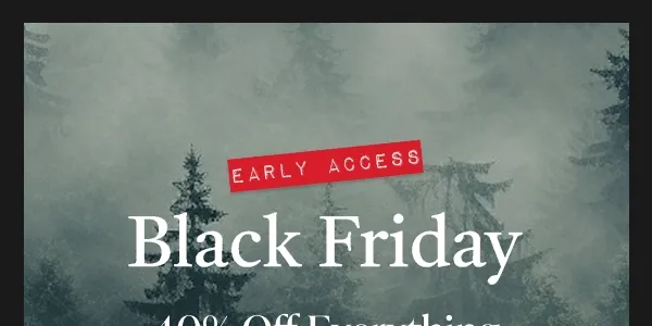 Early Access Black Friday Gif