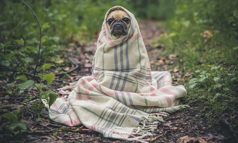 COLD WEATHER CLOTHES