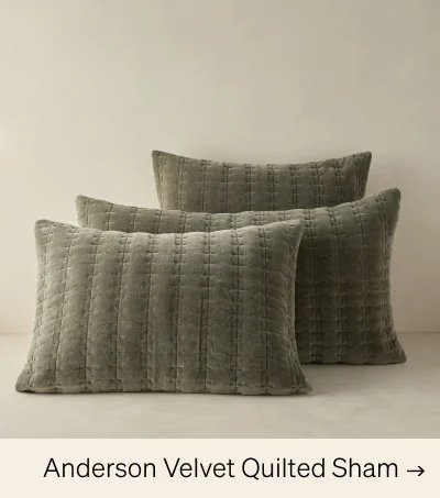 Shop Anderson Velvet Quilted Sham