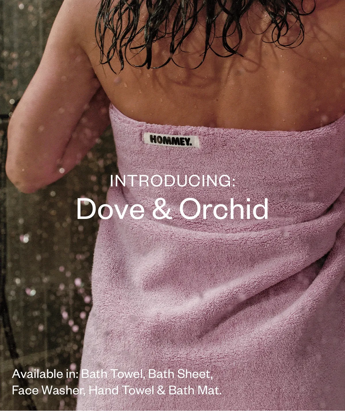 Introducing: Dove & Orchid