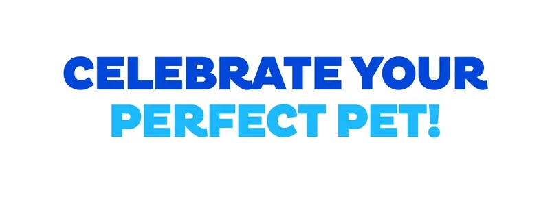 Celebrate Your Perfect Pet!