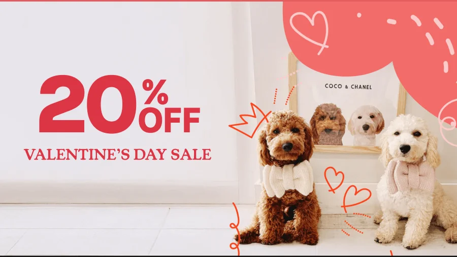 20% Off