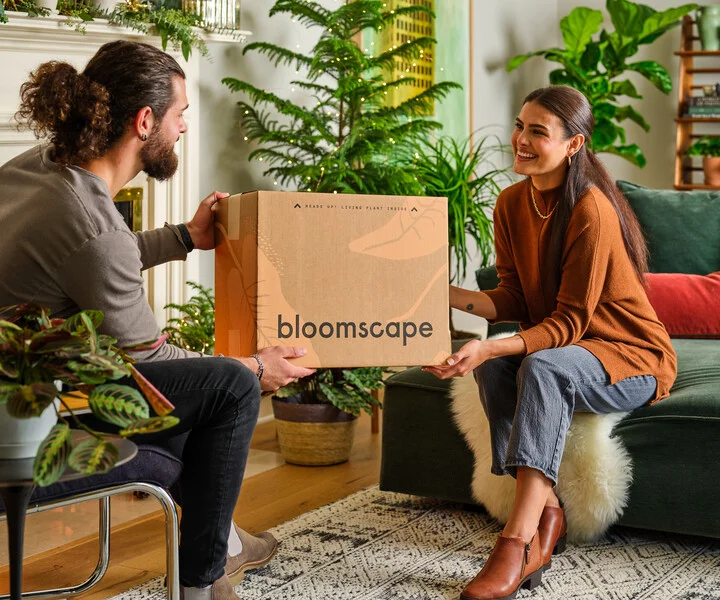 holiday gift guide 2024