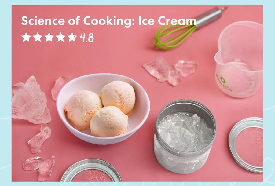 Science of Cooking: Ice Cream kit featuring a bowl of three scoops of ice cream, ice cubes, a metal container with ice, a whisk, and a measuring cup on a pink background.