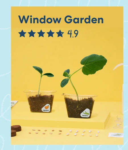 Image of a 'Window Garden' kit with small potted plants growing from seeds.