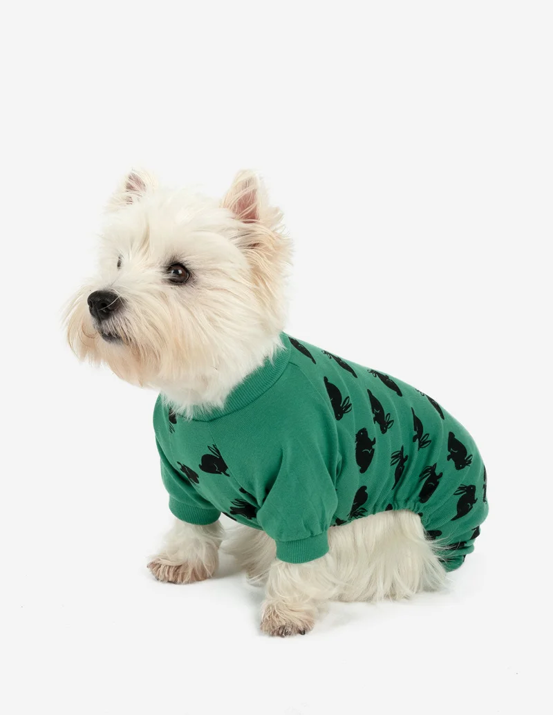 Image of Dog Bunny Pajamas