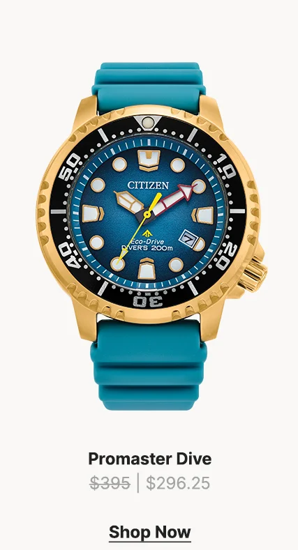 Promaster Dive - BN0162-02X