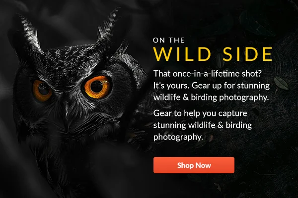 Wildlife Photography | Shop Now