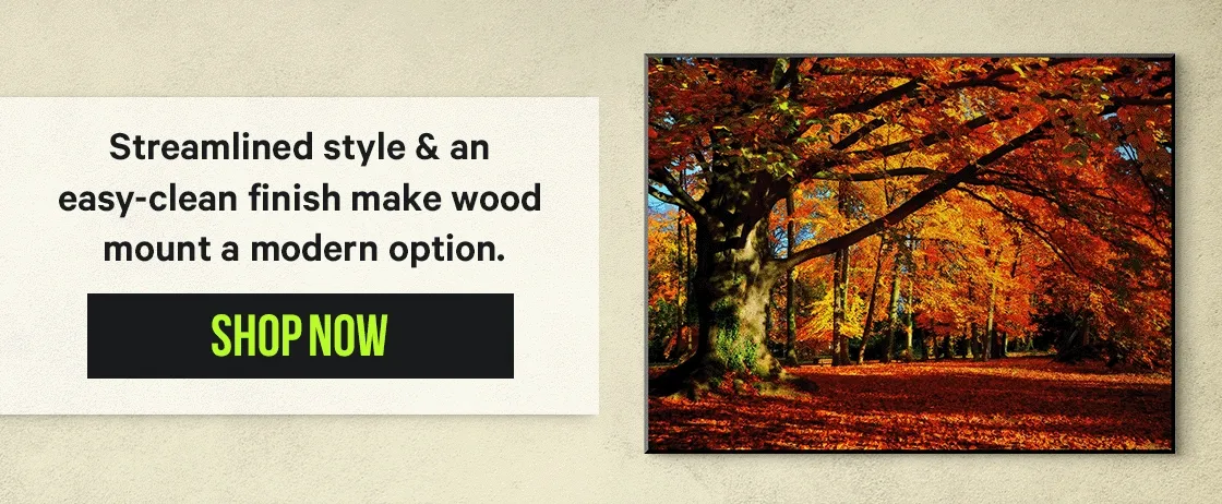 Streamlined style & an easy-clean finish make wood mount a modern option.