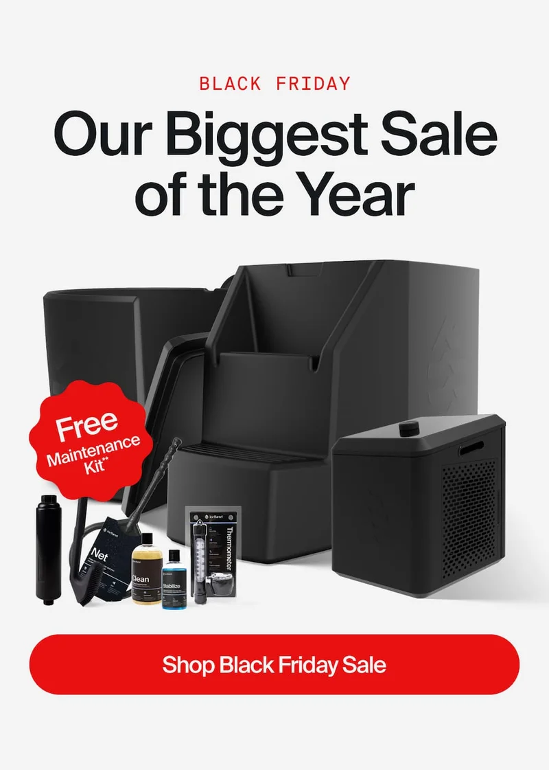 Black Friday starts now!