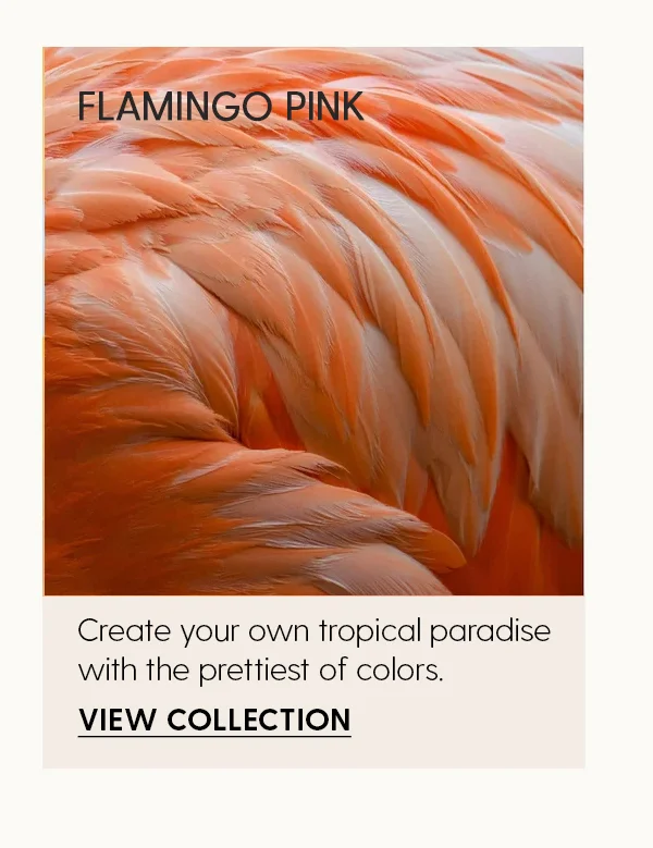 Flamingo Pink | Create your own tropical paradise with the prettiest of colors. | View Collection