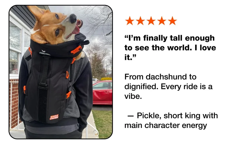 Pickle Review