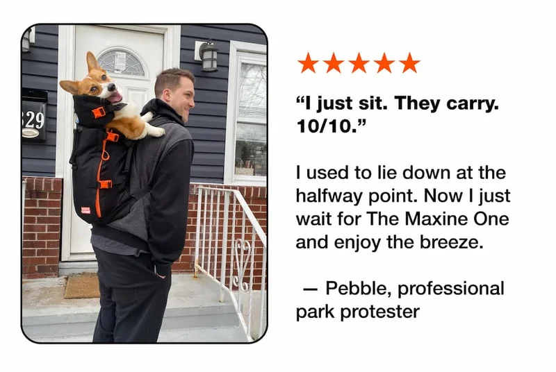 Pebble Review