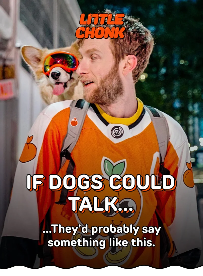 IF DOGS COULD TALK...