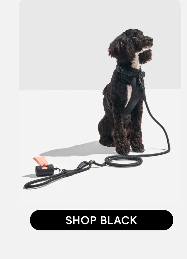 SHOP BLACK