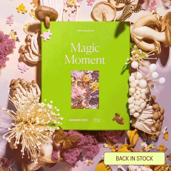 Puzzles! Back in Stock!