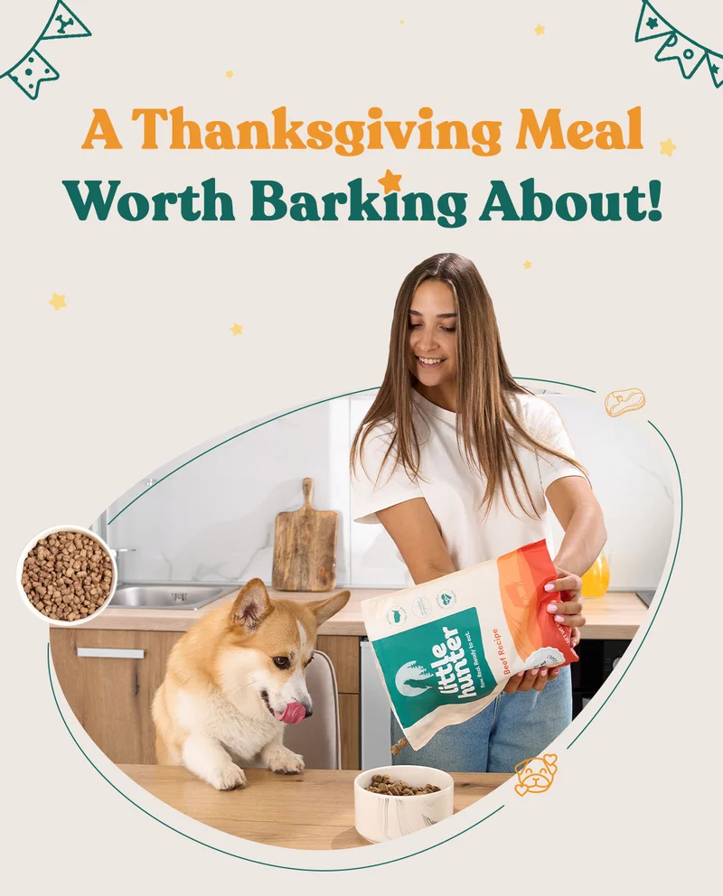 A Feast For Furry Friends