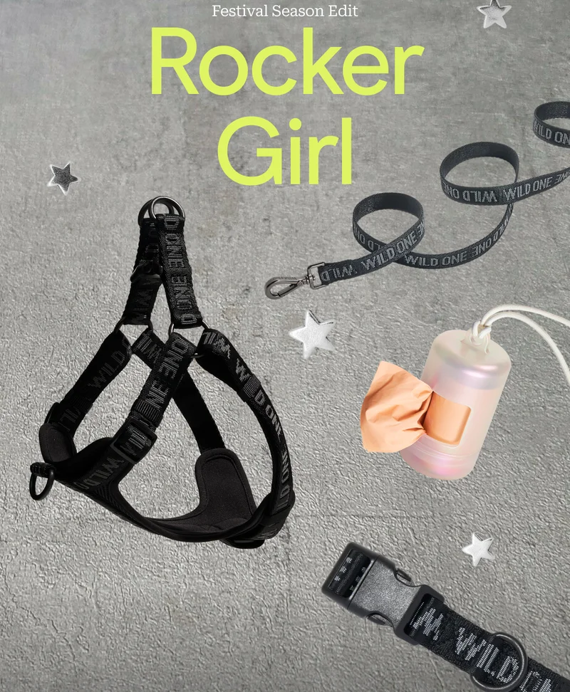 Rocker Girl wild one harness and leash