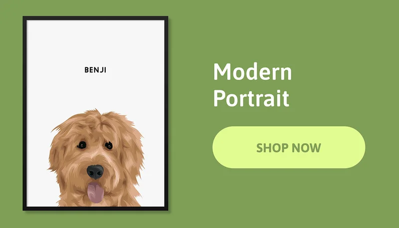 Modern Pet Portraits - SHOP NOW