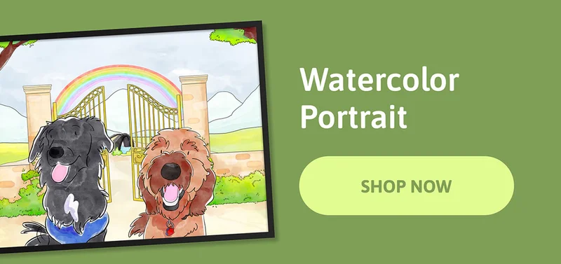 Watercolor Pet Portraits - SHOP NOW