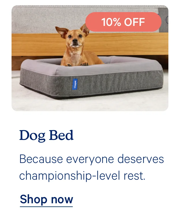 Dog Bed; Because everyone deserves championship-level rest.