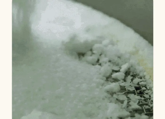 westbourne GIF
