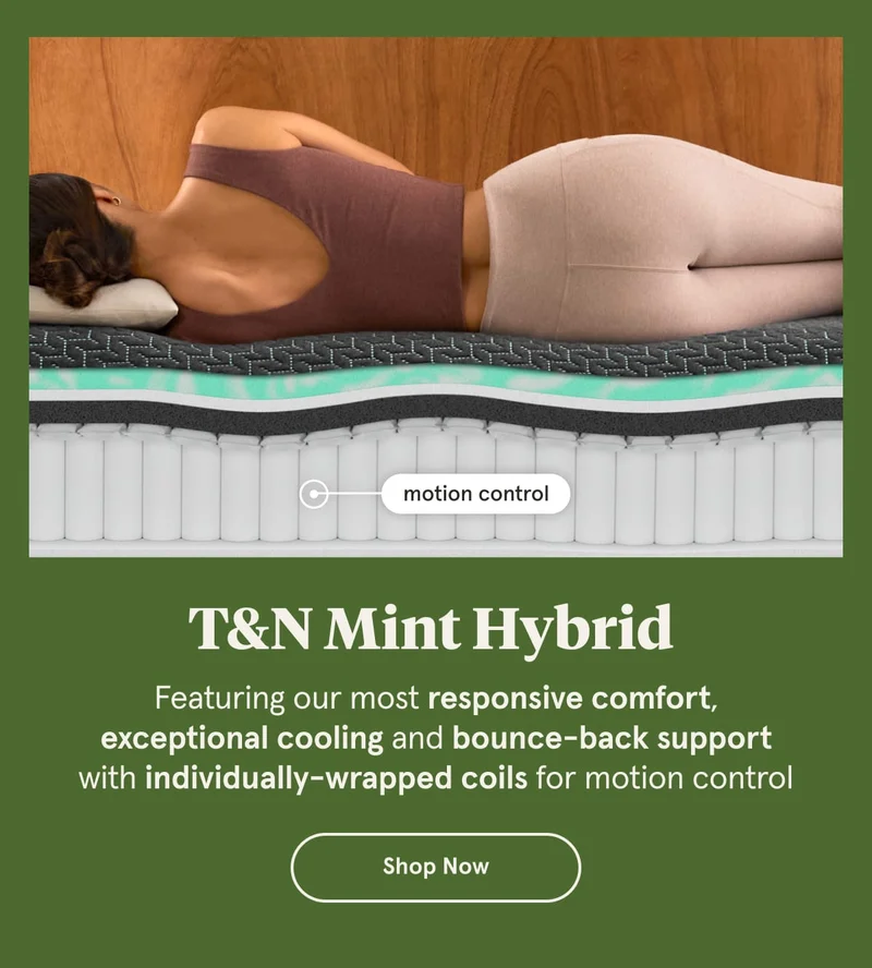 T&N Mint Hybrid Mattress
