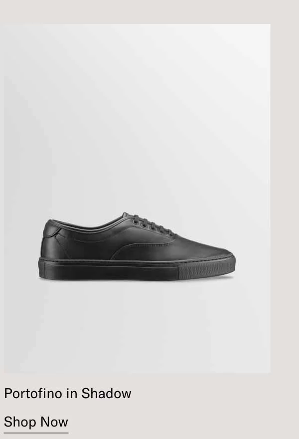 Portofino in Shadow- Shop Now