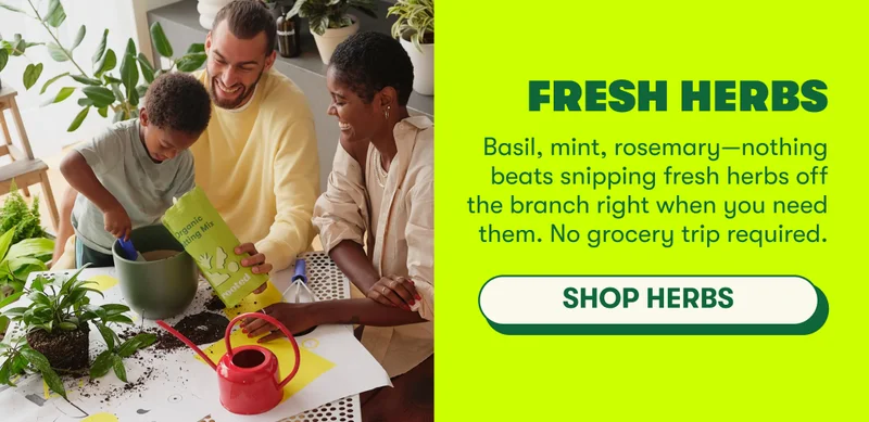 FRESH HERBS Basil, mint, rosemary—nothing beats snipping fresh herbs off the branch right when you need them. No grocery trip required.  [SHOP HERBS]