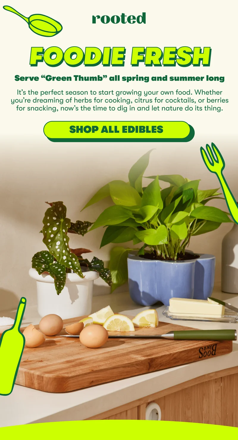 FOODIE FRESH Serve “Green Thumb” all spring and summer long It’s the perfect season to start growing your own food. Whether you’re dreaming of herbs for cooking, citrus for cocktails, or berries for snacking, now’s the time to dig in and let nature do its thing.  [SHOP ALL EDIBLES]